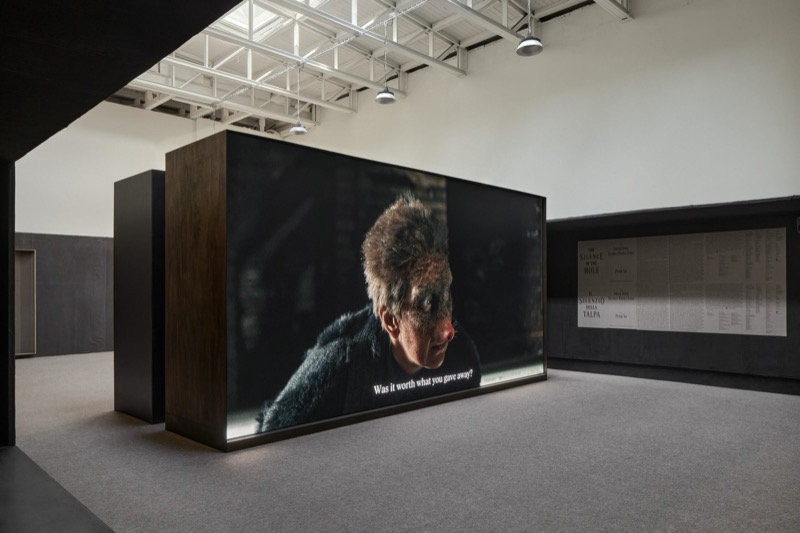 Jakub Jansa, The Silence of the Mole, Czech and Slovak Pavilion