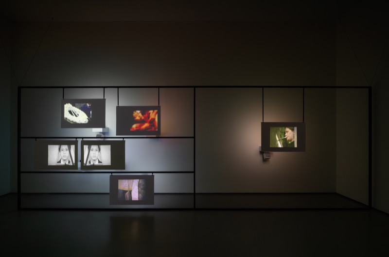 Amar Kanwar, Co-Travellers, Palazzo Grassi